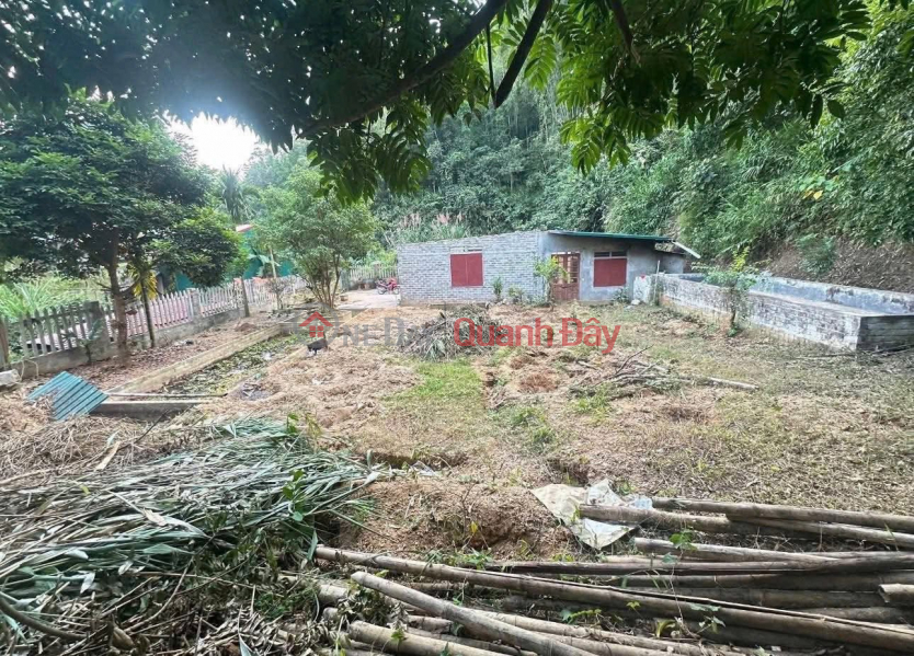 Property Search Vietnam | OneDay | Residential Sales Listings, Selling a 688m2 plot of land (28.5m frontage, 32.5m rear, with 150m2 of residential land and a level 4 house frame) in Nam Doi residential area.