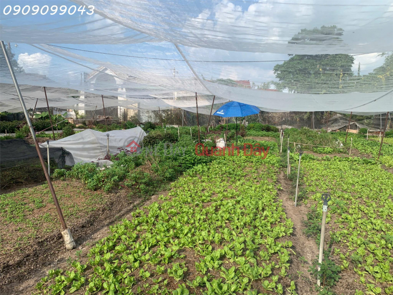 BEAUTIFUL LAND FOR SALE IN TRAN THI BOC STREET – THOI TAM THON, HOC MON DISTRICT – JUST OVER 20 BILLION VND Vietnam, Sales | đ 25 Billion