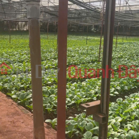 HẠ GIÁ KỊCH SÀN - BÁN GẦN 5000M2 HIỆP AN - GIẢM 5 TỶ _0