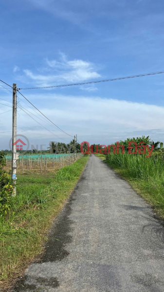 Land owned by the owner - good price. Location: Hoa Lac C, Luong Hoa A, Chau Thanh, Tra Vinh., Vietnam | Sales đ 800 Million