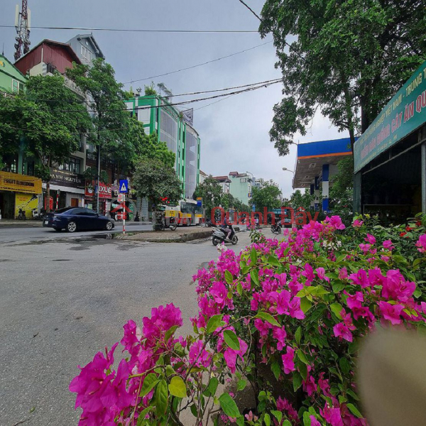 Property Search Vietnam | OneDay | Residential, Sales Listings Land for sale in Da Ton, Gia Lam, Hanoi. 55m2, car access. 3 billion x primary school. Contact 0989894845