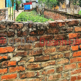 Land for sale, 45m2, in Trau Quy, Gia Lam, Hanoi, accessible by 16-seater cars, price just over 7 billion VND. Contact 989894845 _0