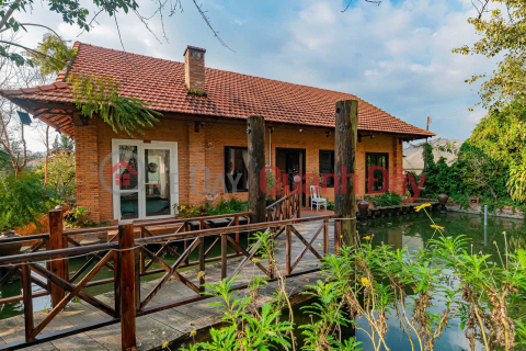 Cho thuê homestay 13 phòng 30 triệu/tháng Hùng Vương Phường 8 Đà Lạt _0