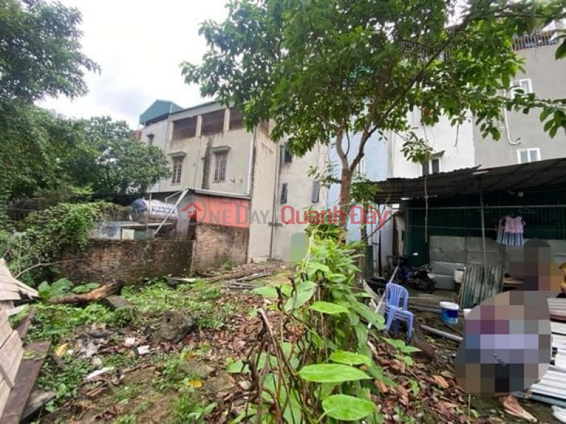 Selling land in Dai Dong, Vinh Hung 300m, giving away a 2-storey house built by people for only 8.8 billion | Vietnam | Rental, ₫ 8.8 Billion/ month