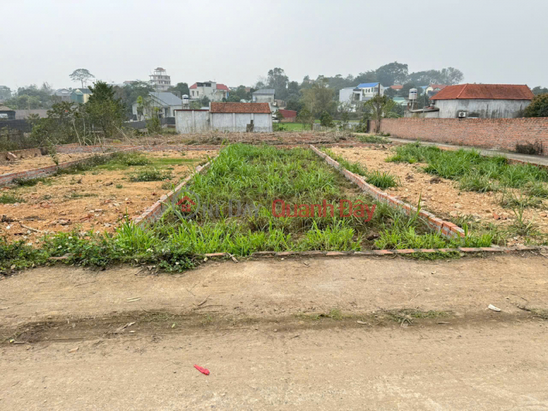 Property Search Vietnam | OneDay | Residential | Sales Listings Extremely rare, a once-in-a-lifetime opportunity: own 37m² of land in Group 9, Quang Minh for only 1.95 billion VND.