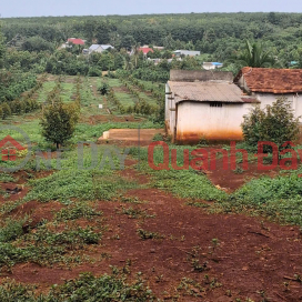 ĐẤT ĐẸP – GIÁ TỐT – CHÍNH CHỦ CẦN BÁN VƯỜN SẦU RIÊNG 18.000M² TẠI Phường Bình Long TX. Bình Long, Bình Phước _0