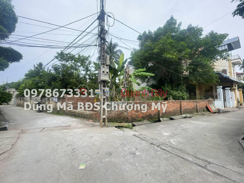 Property Search Vietnam | OneDay | Residential Sales Listings, PRICE ONLY 1TY6 TO OWN 53.1M LAND LOT AT PHU NGHIA INDUSTRIAL PARK-CHUONG MY