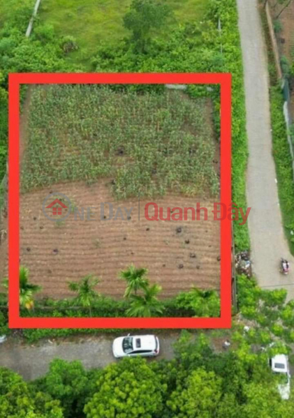 The only super cheap, super nice plot of land left in Nam Phuong Tien, Chuong My, Hanoi. Price is slightly 5 million\\/m2 Corner lot with 2 sides Sales Listings