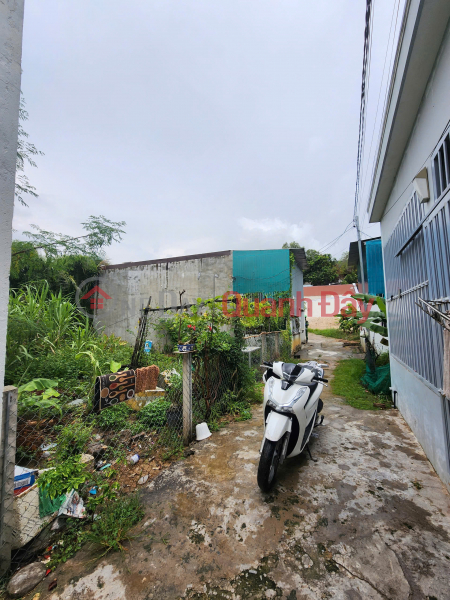 Property Search Vietnam | OneDay | Residential | Sales Listings, RICH OWNER SELLS 2 adjacent plots of land on Hon Nghe, Vinh Ngoc Commune