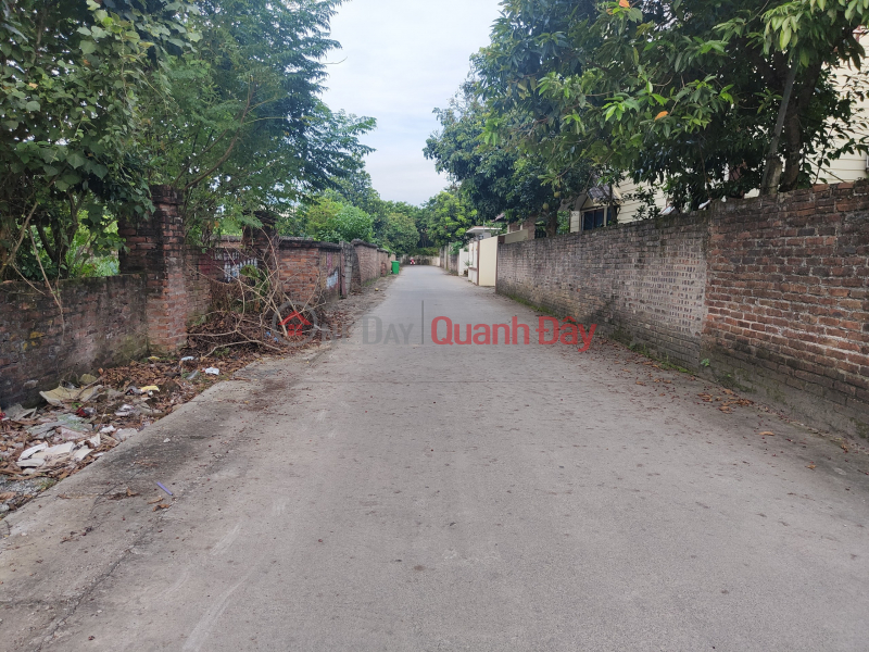 Property Search Vietnam | OneDay | Residential | Sales Listings | Selling 984m Thong Thong Street with 2 Sides of Cars in Xuan Linh - Thuy Xuan Tien 2 Billion VND