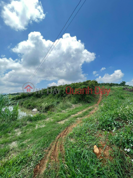 ₫ 2.98 Billion | BEAUTIFUL LAND - GOOD PRICE - Land Lot For Sale Prime Location In Di Linh District, Lam Dong