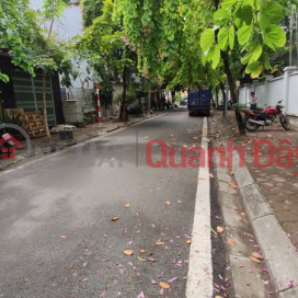LAND FOR SALE IN CHU HUY MAN STREET, WIDE SIDEWALKS ON BOTH SIDES - HIGH TRI RESIDENTIAL AREA - STABLE CASH FLOW BUSINESS _0