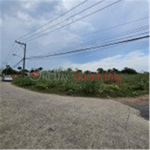 BEAUTIFUL LAND - GOOD PRICE - For Quick Sale Land Lot Prime Location In Long Truong Ward, District 9 _0