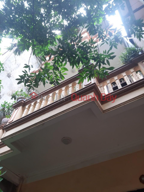 Beautiful House - Good Price For Sale By Owner In Hoang Mai - Hanoi _0