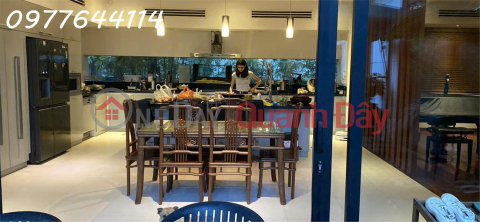Cho thuê Biệt Thự Đảo Xanh Hòa Cường Bắc, Hải Châu, có hồ bơi đầy đủ nội thất _0