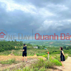 BEAUTIFUL LAND - GOOD PRICE - Land Lot For Sale In Tan Ha Commune, Lam Ha District, Lam Dong _0