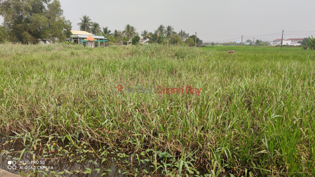 Urgent sale of rice land plot An Nhut Tan Tan Tru for 1.7 billion, Vietnam Sales | ₫ 1.7 Billion