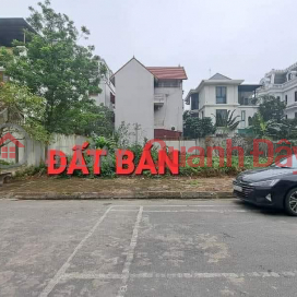 Land for sale in the 31-hectare subdivided area of Trau Quy, 250m², 12.5m frontage, paved road, sidewalk, parking available. _0