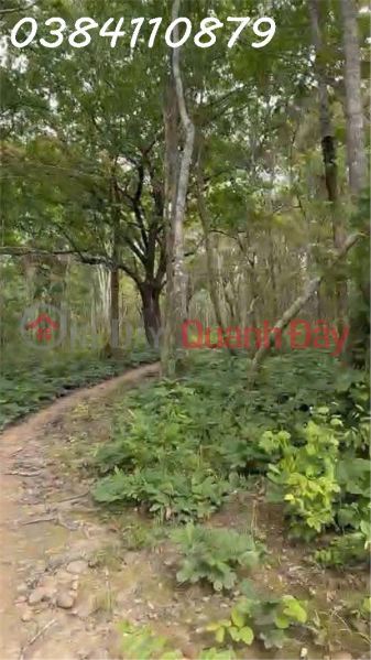 đ 10 Billion, TRANSFER OF 160 HEECTS OF PROJECT LAND – HAM TAN, BINH THUAN