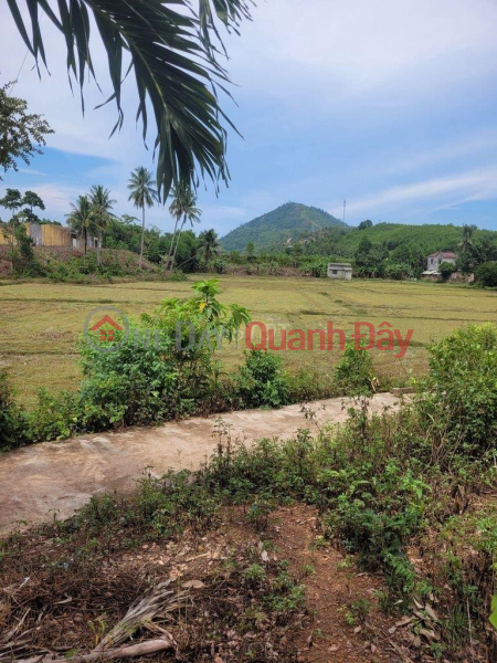 ORIGINAL LAND - Own the Land Lot Full Residential Tung Son Hamlet, Hoa Son, Hoa Vang, Da Nang Sales Listings