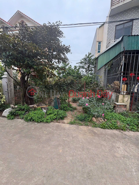 Family needs to sell auctioned land in the pond area behind Phung Nguyen, Phu Tho _0