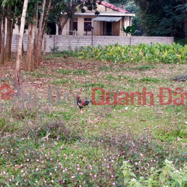 BEAUTIFUL LAND - GOOD PRICE - Owner Needs to Sell Land Lot in Ngoc Lac Town, Thanh Hoa Province _0