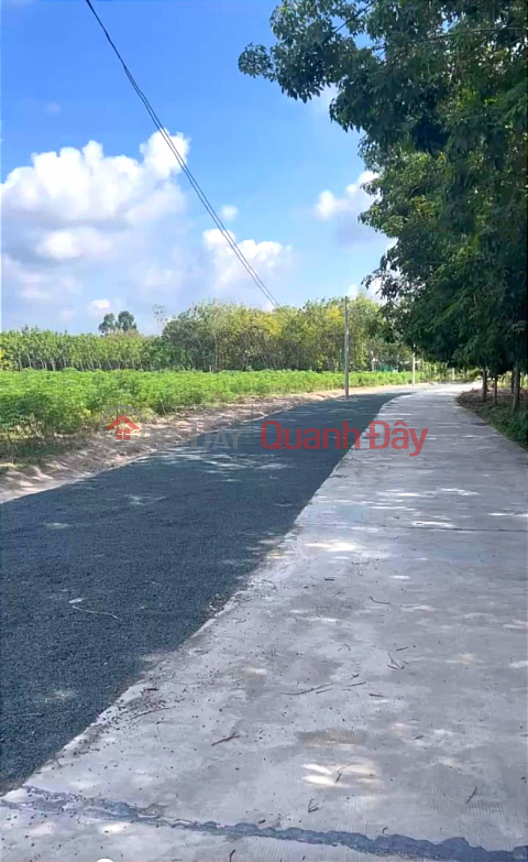 Cần bán lô đất 500m2, sổ sẵn ngay thị xã Chơn Thành giá ngộp _0