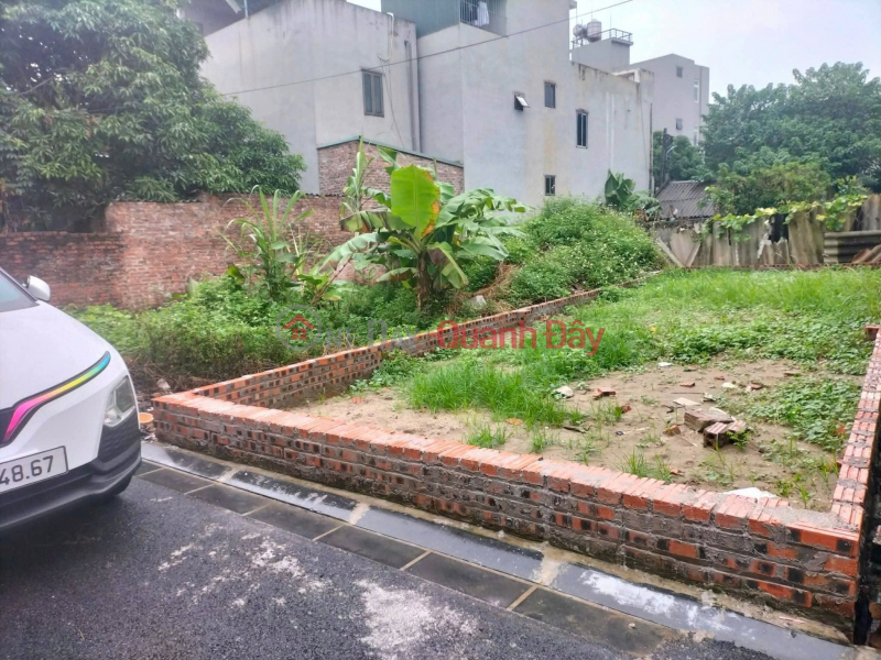 BÁNNHANH ĐẤT LƯƠNG NỖ, ĐÔNG ANH - Khu vực phát triển mạnh - Vị trí đắc địa - Đường ô tô, Việt Nam, Bán đ 5,1 tỷ