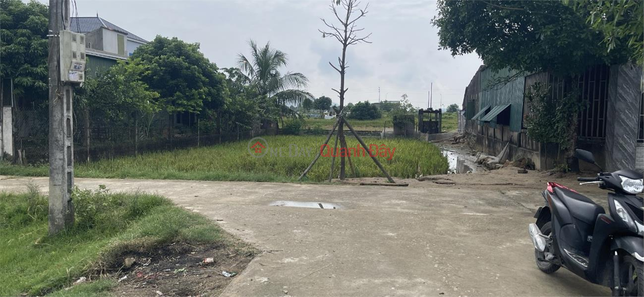 Property Search Vietnam | OneDay | Residential | Sales Listings BEAUTIFUL LAND - GOOD PRICE! Owner Sells Land Lot in Thach My Commune, Loc Ha District, Ha Tinh