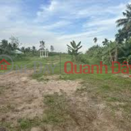 Owner urgently needs to transfer agricultural land plot at 1 lane of Duong Ky Hiep street, Ward 2, Soc Trang city, Soc Trang province _0