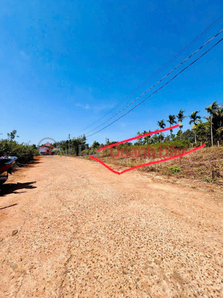 Urgent sale of a 125m2 plot in Him Lam, with 75m2 of residential land, accessible by two cars, near Tan An Industrial Park, direct sale from owner. Sales Listings