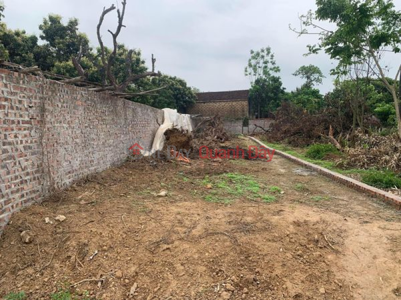Land plot for sale in Cao Minh, Phuc Yen, Vinh Phuc Sales Listings