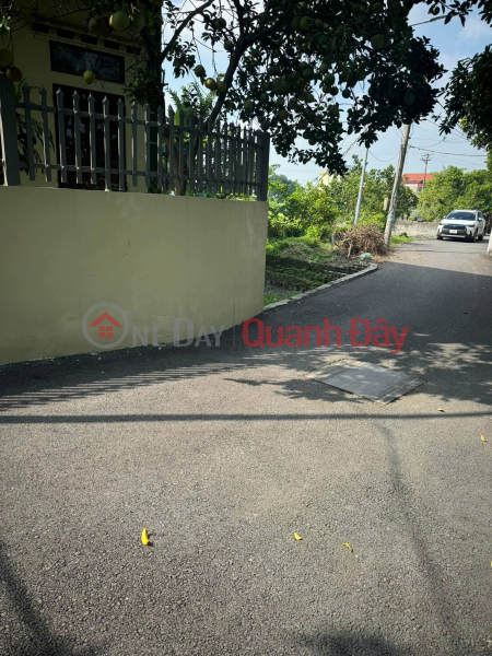 Bán đất thổ cư 203m2, Tân Thanh, Thanh Liêm, Hà Nam, mặt tiền 11m, đường 495 Niêm yết bán