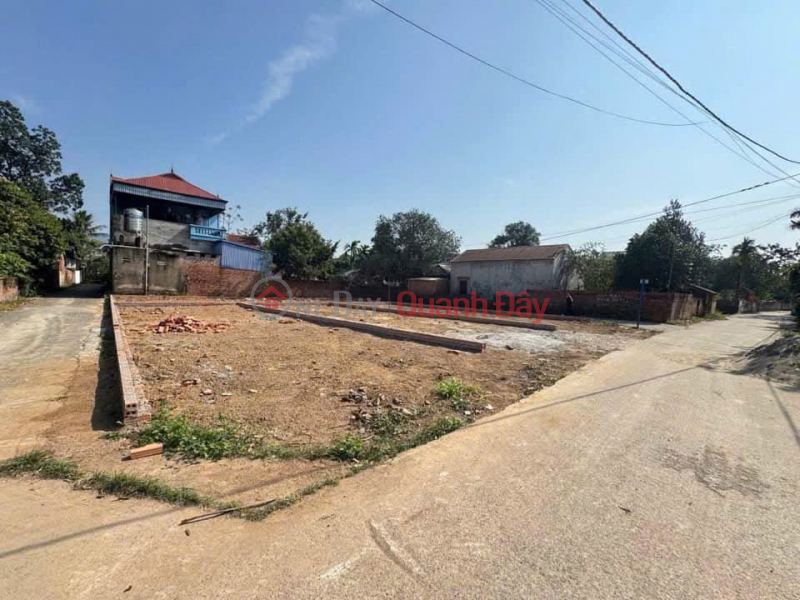 Property Search Vietnam | OneDay | Residential, Sales Listings Need to sell quickly, 2 prices cheaper than market. Residential land 100m², Minh Tri Soc Son, near Lap market.