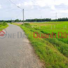 Urgent sale of land plot at 1 set of Phu Thuan street, Phu My Hung commune, Cu Chi district, Ho Chi Minh City _0
