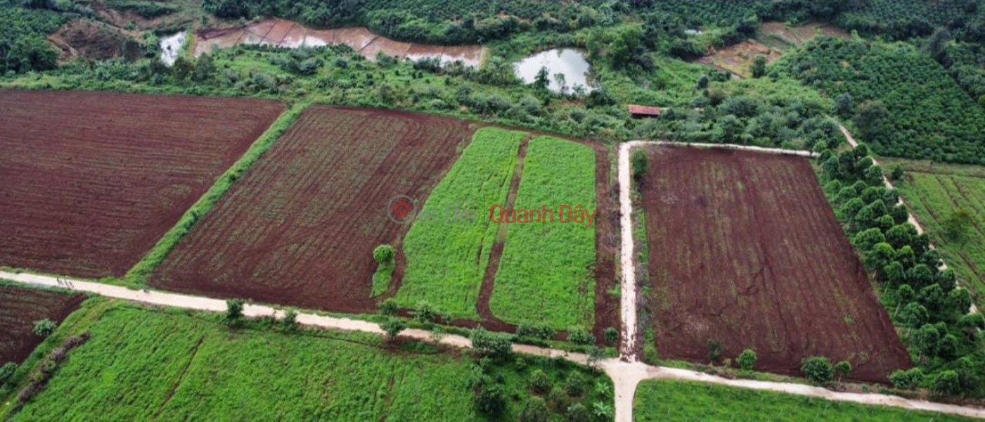 Property Search Vietnam | OneDay | Residential Sales Listings Selling garden land on Southern Pleiku Farm Price 260 million\\/1000m2