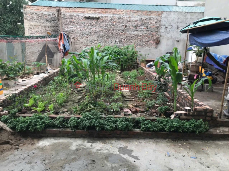 Property Search Vietnam | OneDay | Nhà ở, Niêm yết bán, CHÍNH CHỦ CẦN BÁN 34,6 M2 ĐẤT TRÂU QUỲ - GIA LÂM, GIÁ NHỈNH 5 TỶ, LH 0985865658