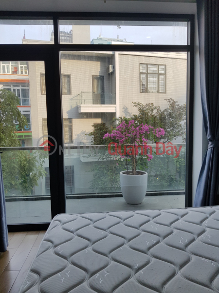 Modern fully furnished apartment for rent, with large balcony at Le Hong Phong for only 8 million/month Rental Listings