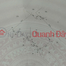 BEAUTIFUL LAND BY OWNER - Need to Sell Quickly a Land Lot in a Prime Location in Nhan Hue, Yen Nghia, Hanoi City _0
