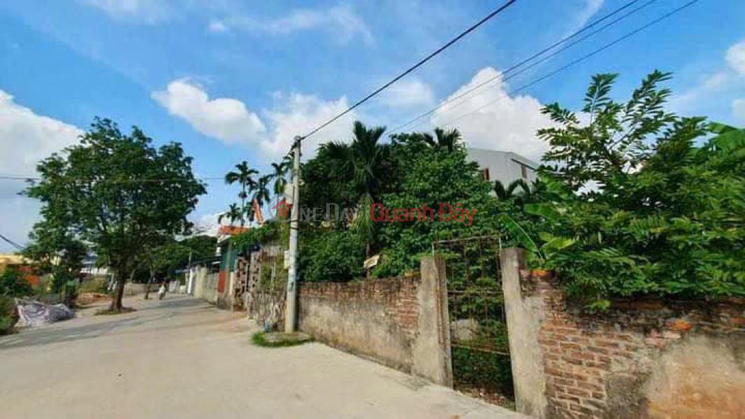 Property Search Vietnam | OneDay | Residential Sales Listings Land for sale in Vinh Khuc, Van Giang, Hung Yen, 6m wide road, price 1.5 billion