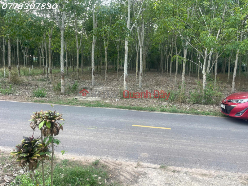 Bán đất tại đường Lò Rèn, Long Hòa, 4 tỷ, 880 m2, giá tốt, view đẹp Niêm yết bán