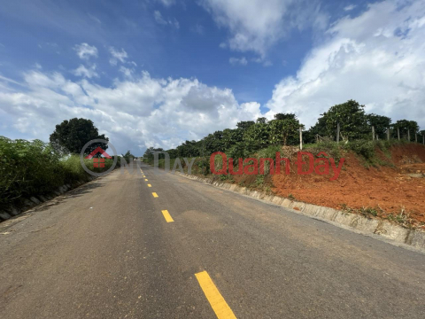 OWNER FOR SALE 3 ADJUSTABLE LOT OF LAND AT Nguyen Tri Phuong extension, Loc Tien Ward, Bao Loc City, Lam Dong _0