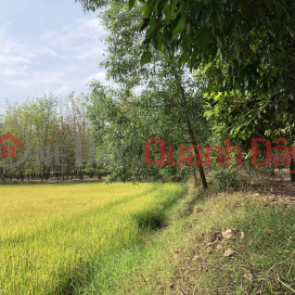 Discount floor collapse for a beautiful plot of land in Tay Ninh !!! _0