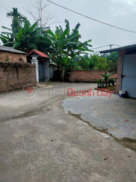 Property Search Vietnam | OneDay | Nhà ở Niêm yết bán GIÁ NỐNG NHẤT THỊ TRƯƠNG TAIH SÓC SƠN DT 60 M FUN THỔ CƯ GIÁ CHƯA ĐẾN TỶ