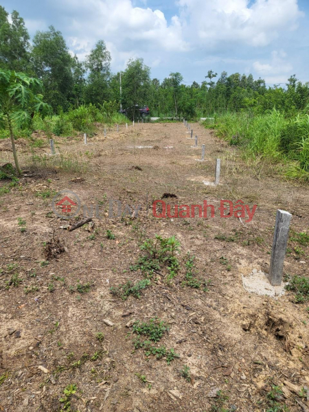 BEAUTIFUL LAND - GOOD PRICE - FOR SALE BY OWNER In Village 4, Suoi Rao Commune, Chau Duc District, Ba Ria - Vung Tau Sales Listings