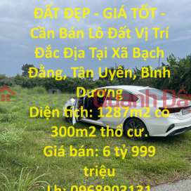 BEAUTIFUL LAND - GOOD PRICE - Land Lot For Sale Prime Location In Bach Dang Commune, Tan Uyen, Binh Duong _0