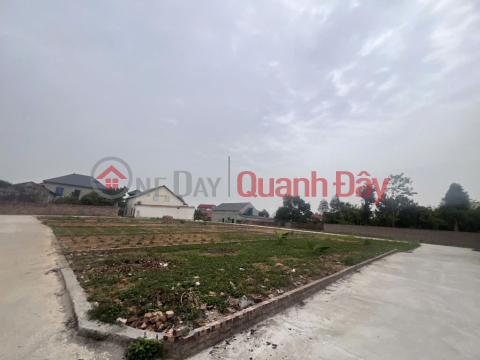 Own a beautiful 81m² plot of land in Thanh Lai, Phu Linh, Soc Son for only 2.X billion VND - Catch the rising price wave! _0