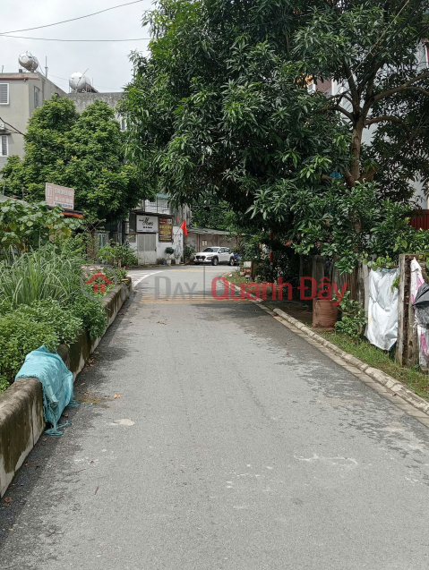 Bán đất thôn Cam, Cổ Bi, Gia Lâm – vị trí đắc địa, gần trung tâm hành chính, hồ và công viên _0