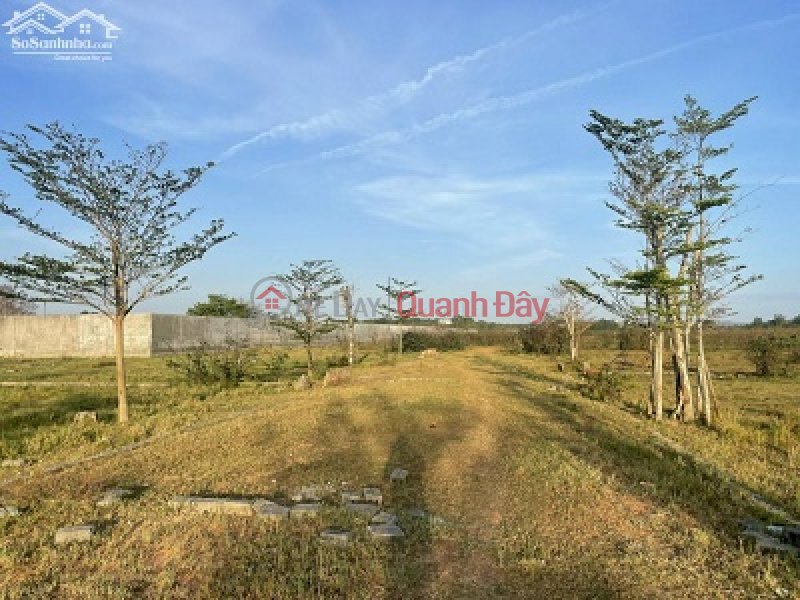 CHO THUÊ 3 Ha ĐẤT HỒ TRÀM - BÌNH CHÂU KINH DOANH GLAMPING - CAMPING- HOMESTAY - TRẢI NGHIỆM.., Việt Nam, Cho thuê, đ 20 triệu/ tháng