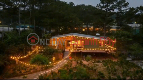 RESORT LAND – PINE FOREST VIEW – BEAUTIFUL PLOT FOR SALE IN VAN THANH, CAM LY WARD, DA LAT CITY, LAM DONG PROVINCE _0